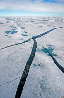 83. paralelin kuzeyindeki buz kütlesinde canlı çatlaklar.