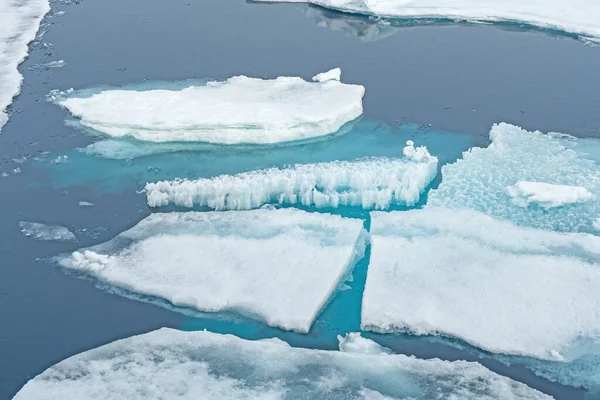 Aqua White Στο Northern Pack Ice Στην Υψηλή Αρκτική — Φωτογραφία Αρχείου