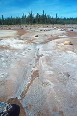 Kuzeybatı bölgesindeki Wood Buffalo Ulusal Parkı 'ndaki Kuzey Ormanı' ndaki Tuz Ovaları