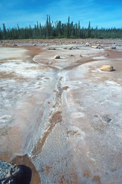 Salt Plains in the Remote North Woods in Wood Buffalo National Park in the Northwest Territories clipart