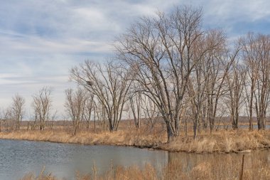 Mississippi Nehri Bayou Habitatı İllinois Savanna yakınlarında