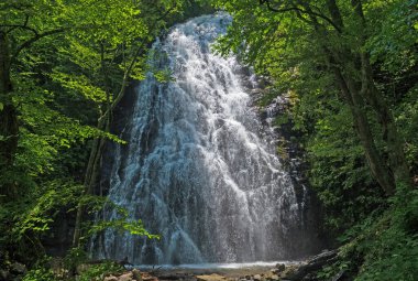 Dramatik Crabtree Şelalesi Kuzey Carolina 'daki Blue Ridge Parkway boyunca Ormanda Saklı