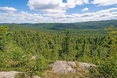 Ontario 'daki Superior Gölü İl Parkı' ndaki Nokomis Patikası boyunca Kuzey Ormanı Panoraması