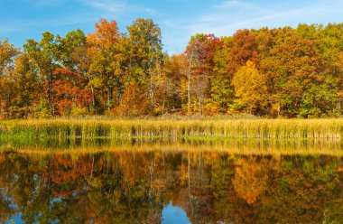 Ohio 'daki Cuyahoga Vadisi Ulusal Parkı Kendall Gölü' ndeki Sonbaharda Orman Yansımaları