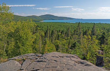 Orman ve Göl Ontario 'daki Neys il parkında yüksek bir uçurumdan görülüyor.