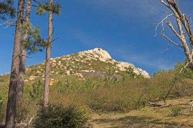 Stonewall Peak Framed by the Trees in Cuyamaca Racho State Park in California clipart