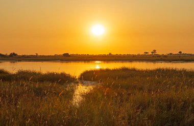 Botswana 'da Okavango Deltası' nda gün doğumu