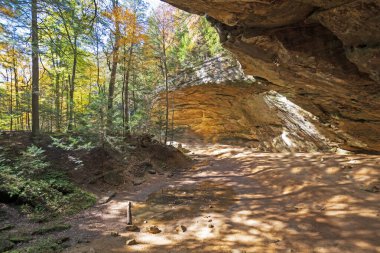 Ohio 'daki Hocking Hills Eyalet Parkı' ndaki Sonbahar Ormanı 'ndaki kireçtaşı Kül Mağarası