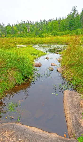 stock image Quiet Stream in a Wetland Habitat in the North Woods in Whitesell Provincial Park in Manitoba