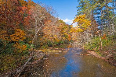 Kuzey Carolina 'daki Blue Ridge Parkway' deki Linville Nehri 'ne Sonbahar Renkleri