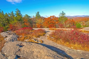 Kuzey Carolina 'daki Blue Ridge Parkway' deki Düz Rocky Sırtındaki Sonbahar Renkleri