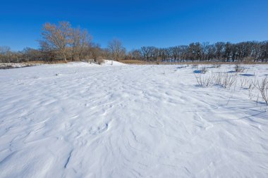Illinois 'deki Paul Doglass Koruma Alanındaki Donmuş Çayırda Rüzgâr Sürüklenen Kar Örnekleri
