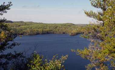 Minnesota 'daki Gunflint Yolu' ndaki Büyük Kuzey Ormanı 'nda Sakin Sabah