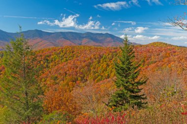 Kuzey Carolina 'daki Blue Ridge Parkway' deki Sonbaharda Dağların Panoramik Manzarası