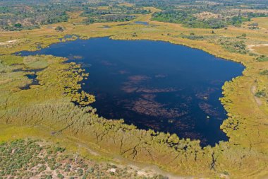 Botsvana 'daki Okavango Deltası' ndaki Bataklık Hava Görüntüsü