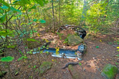 Terk Edilmiş Araba Minnesota 'daki Gunflint Yolu boyunca Orman tarafından Ele Geçiriliyor