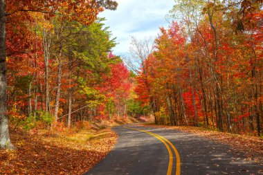 Tennessee 'nin Dumanlı Dağları' ndaki Foothills Parkway 'de Sonbahar Renkleri