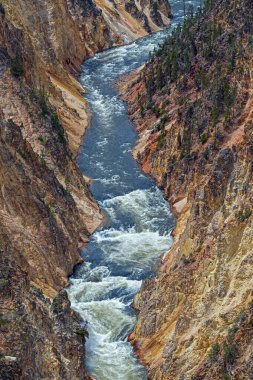 Raging Waters in the Grand Canyon of the Yellowstone in Yellowstone National Park in Wyoming clipart