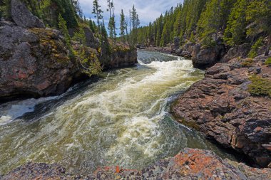 Yellowstone Nehri Wyoming 'deki Yellowstone Ulusal Parkı' ndaki Lower Falls 'un üzerinden geçmeden hemen önce.