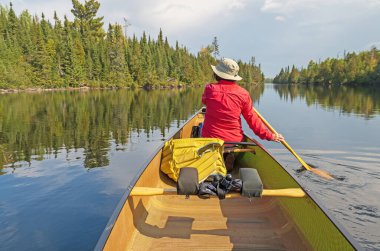Minnesota 'daki Sınır Suları' ndaki Poplar Gölü 'ndeki Büyük Kuzey Ormanı' nda Sessiz Yüzgeç