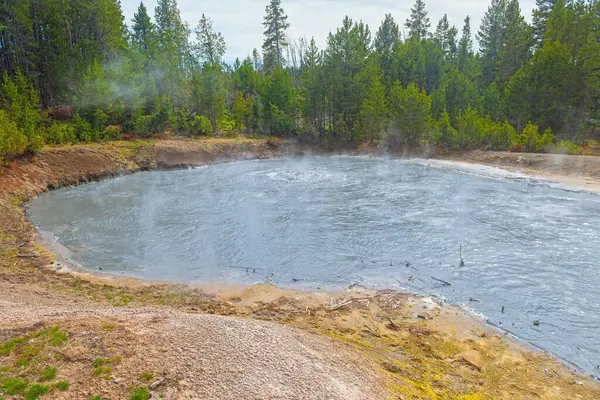 Wyoming 'deki Yellowstone Ulusal Parkı' ndaki Ormanda Siyah Ejderha Kazanı Köpürüyor