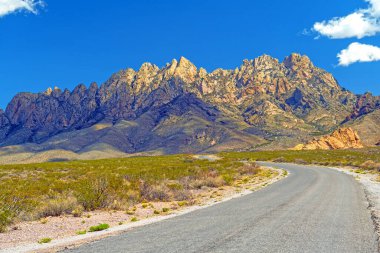 New Mexico 'daki Organ Dağları Ulusal Anıtı' nda Dağlara Giden Kırsal Yol