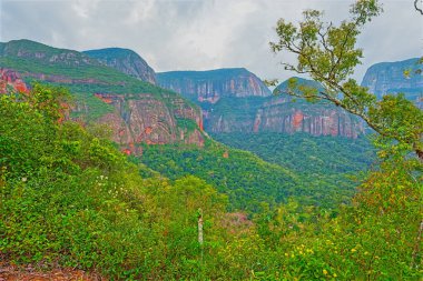 Bolivya 'daki Amboro Ulusal Parkı' ndaki Verdant Hills Panoramik Manzarası