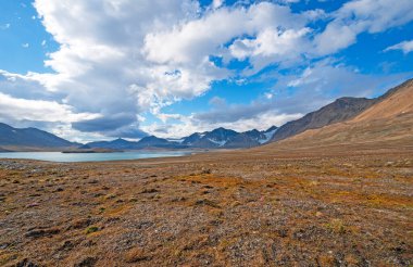 Varsolbukta 'da Arktik Tundra' da dağlar ve Okyanus, Svalbard Adaları 'nda Bellsund