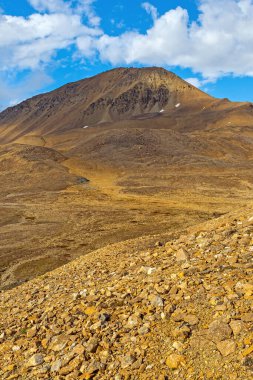Varsolbukta 'da Kuzey Kutbu' nda Çorak Topraklar, Svalbard Adaları 'nda Bellsund