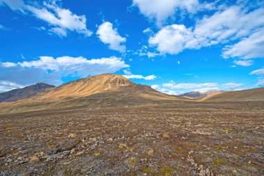 Svalbard Adaları 'ndaki Bellsund, Varsolbukta' daki Arktik Tundra 'nın Geniş Görüş Alanı