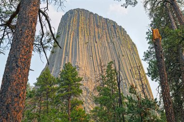 Wyoming 'deki Şeytan Kulesi' ndeki Orman Ağaçları tarafından Çerçevelenmiş Monolit