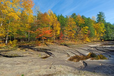 Michigan 'daki Porcipine Dağları' ndaki Presque Adası nehri üzerindeki Rocky Nehri 'ndeki Sonbahar Renkleri