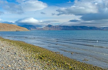 Svalbard Adalarındaki Kutup Koyu 'nda Sakin Sular