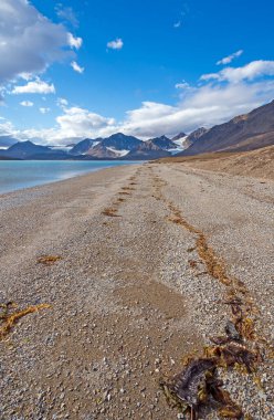 Svalbard Adaları 'nın Kuzey Kutbu' ndaki ıssız plajda.