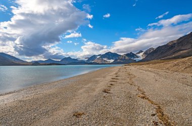 Svalbard Adaları 'ndaki bir buzul arazisindeki çakıl taşı plajı 