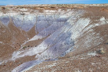 Arizona 'daki Taşlaşmış Orman Ulusal Parkı' ndaki Yüksek Çölde Renkli Çamur Katmanları