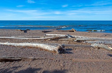 Michigan 'daki Kirpi Dağları' ndaki Büyük Göller Kıyısında Dağıtılmış Driftwood Kütükleri