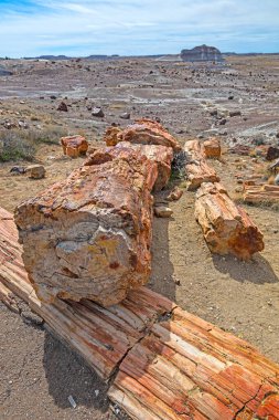 Arizona 'daki Taşlaşmış Orman Ulusal Parkı' ndaki Çölde Taşlaşmış Kütüklerin Belirsiz Görünümü