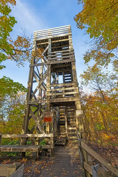 Micihigan 'daki Kirpi Dağları' ndaki bir dağın tepesindeki gözcü kulesi.
