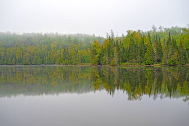 Minnesota 'daki Doğu Ayısı Gölü' ndeki Büyük Kuzey Ormanı 'nda Sisli Sabah