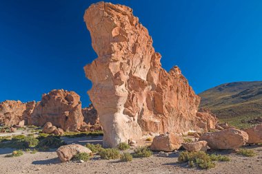 Bolivya 'daki Siloli Çölünde Dramatik İhracat