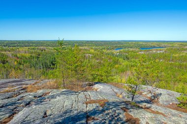 Minnesota 'daki Blueberry Hill' den Sınır Sularının Geniş Görüş Alanı