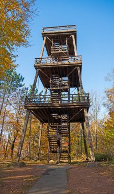 Wisconsin 'deki Rib Dağı Eyalet Parkı' ndaki bir tepenin üzerindeki engebeli tahta gözlem kulesi.