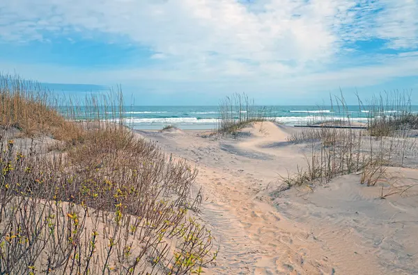 Okyanus manzaralı Grassy Kumulları Kuzey Carolina 'daki Dış Kıyılarda
