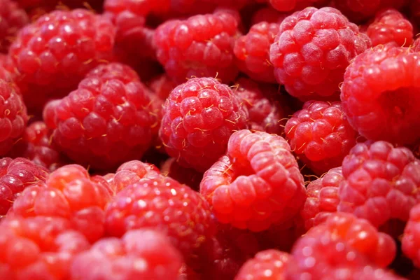 Heap Fresh Tasty Raspberry Textured Background Top View Closeup — Stock Photo, Image