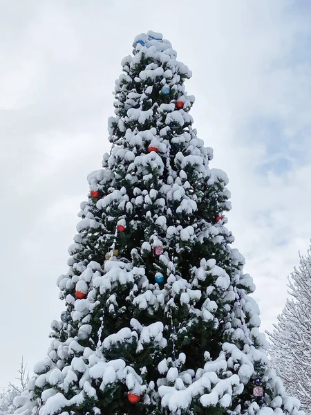 Christmas decoration on fir tree under snow on new year card, merry xmas and happy new year, outdoors
