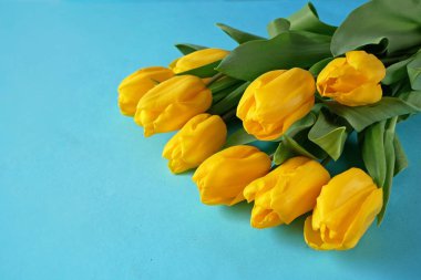 beautiful bouquet of yellow tulips on blue background. Closeup, top view