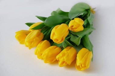 Beautiful romantic bouquet of yellow tulips isolated on white background. Lots of tulips, large bouquet. Closeup