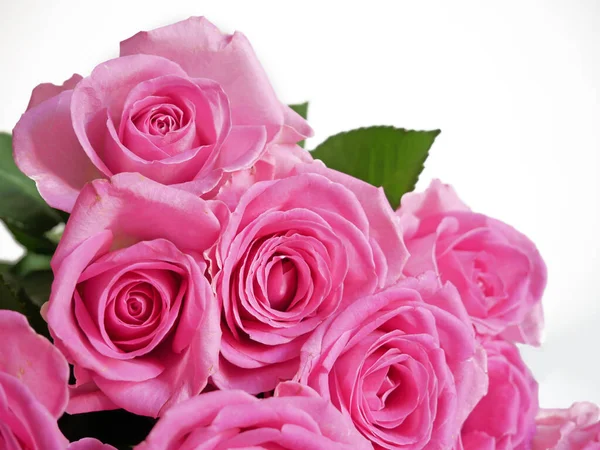 Bouquet Fleurs Rose Isolé Sur Fond Blanc Gros Plan — Photo