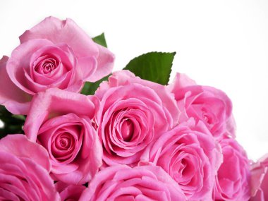 Beyaz arka planda izole edilmiş pembe gül buketi, kapanış